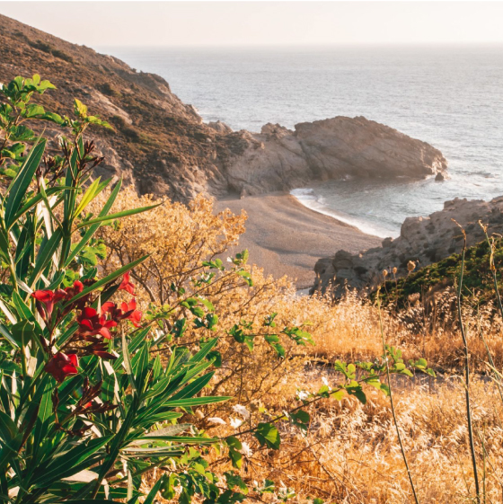 Ikaria