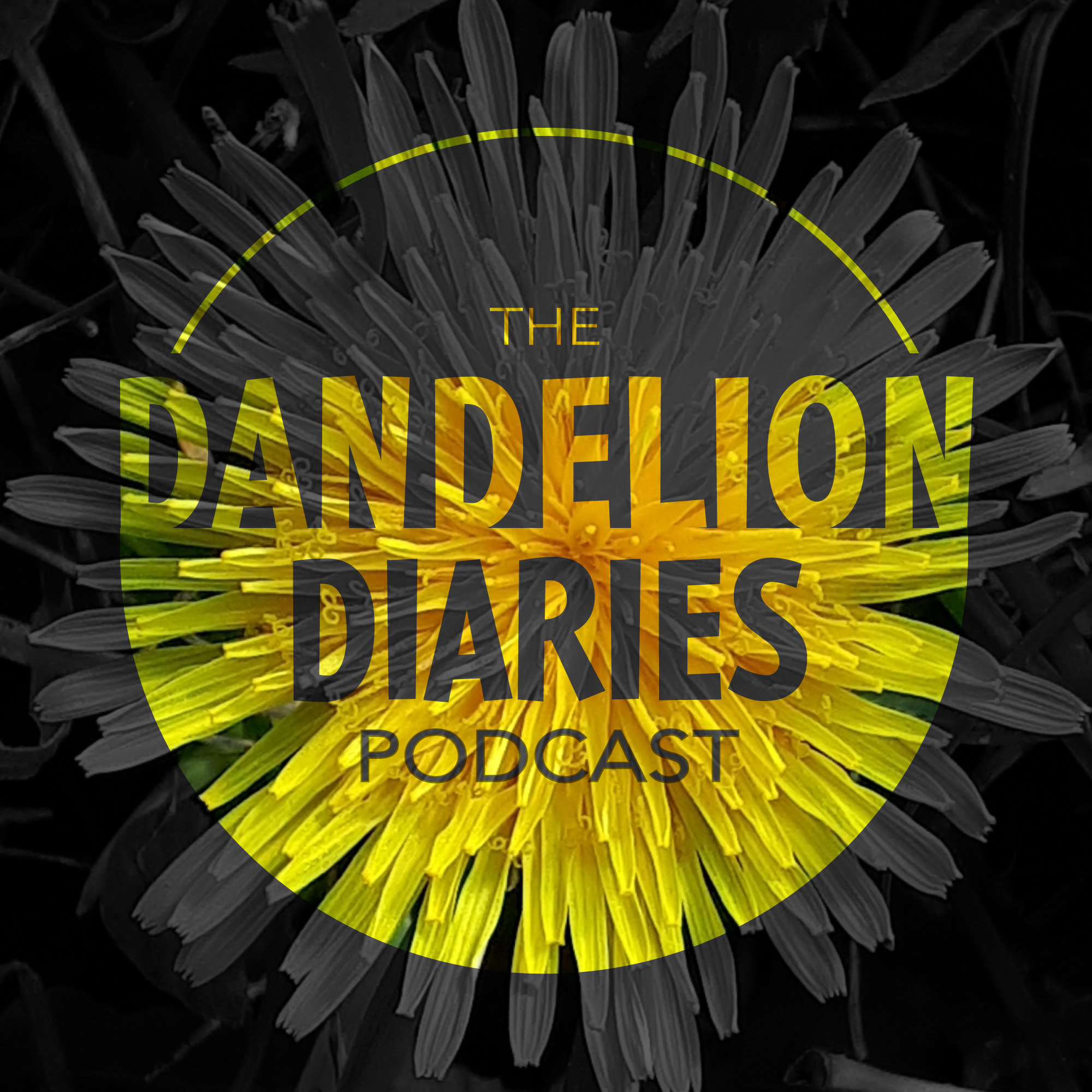 The Dandelion Diaries